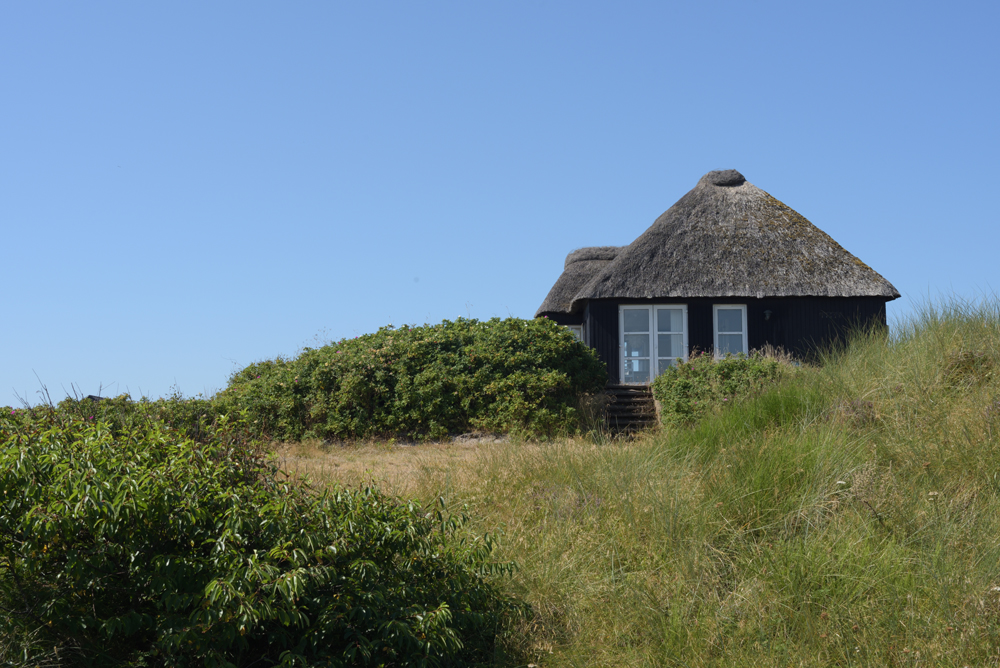 Ferienhaus_Henne_Dänemark